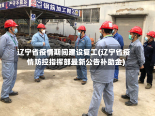 辽宁省疫情期间建设复工(辽宁省疫情防控指挥部最新公告补助金)