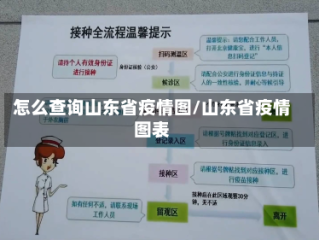 怎么查询山东省疫情图/山东省疫情图表