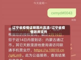 辽宁省疫情证明图片高清/辽宁省疫情政府文件