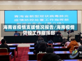 海南省疫情支援情况报告/海南疫情防控工作指挥部