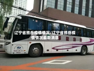 辽宁省熊岳疫情情况/辽宁省熊岳疫情情况最新消息