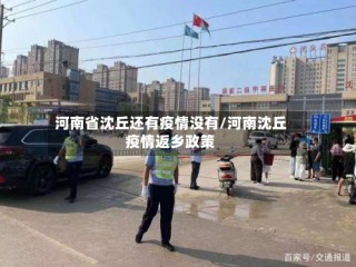 河南省沈丘还有疫情没有/河南沈丘疫情返乡政策