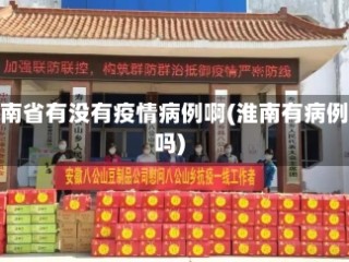 淮南省有没有疫情病例啊(淮南有病例吗)