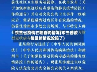 东三省疫情在哪查询情况(东三省疫情最新情况沦陷了)
