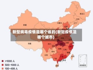 新型病毒疫情是哪个省的(新冠疫情是哪个城市)