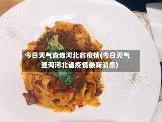 今日天气查询河北省疫情(今日天气查询河北省疫情最新消息)