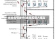未来疫情走向(未来疫情大爆发)