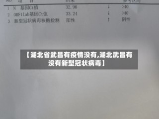 【湖北省武昌有疫情没有,湖北武昌有没有新型冠状病毒】