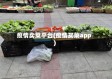 疫情卖菜平台(疫情买菜app)