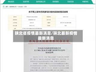 陕北省疫情最新消息/陕北最新疫情最新消息