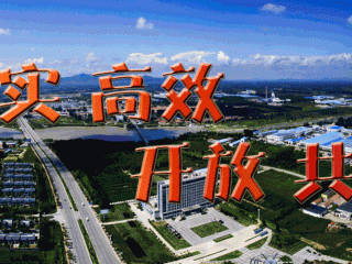 【河北省疫情实时动态查询,河北省疫情动态表】