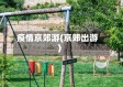 疫情京郊游(京郊出游)