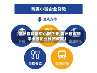 【贵州省疫情中小微企业,贵州省疫情中小微企业补贴政策】