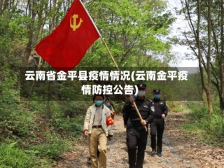 云南省金平县疫情情况(云南金平疫情防控公告)