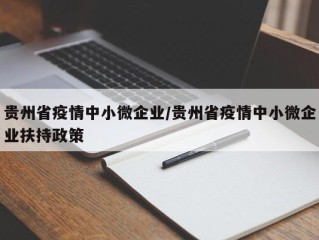 贵州省疫情中小微企业/贵州省疫情中小微企业扶持政策