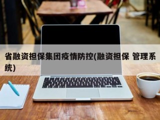 省融资担保集团疫情防控(融资担保 管理系统)