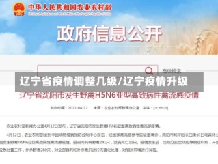 辽宁省疫情调整几级/辽宁疫情升级