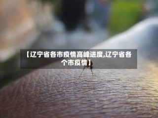 【辽宁省各市疫情高峰进度,辽宁省各个市疫情】