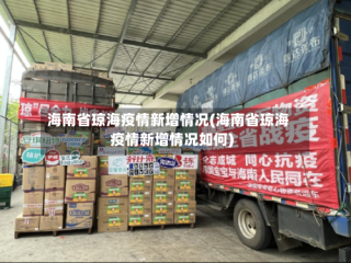 海南省琼海疫情新增情况(海南省琼海疫情新增情况如何)