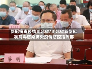 新冠病毒疫情湖北省/湖北省新型冠状病毒感染肺炎疫情防控指挥部