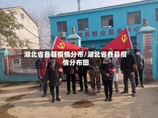 湖北省各县疫情分布/湖北省各县疫情分布图