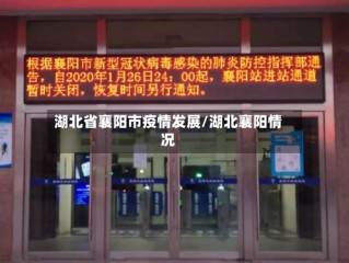 湖北省襄阳市疫情发展/湖北襄阳情况
