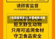 【中国疫情决心,中国疫情决策】