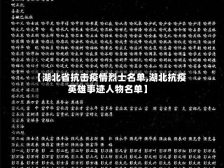 【湖北省抗击疫情烈士名单,湖北抗疫英雄事迹人物名单】