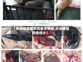【非洲猪瘟最新疫情吉林省,非洲猪瘟疫情统计】