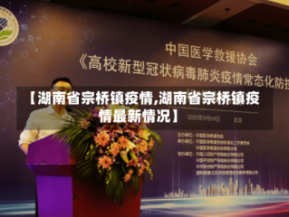 【湖南省宗桥镇疫情,湖南省宗桥镇疫情最新情况】