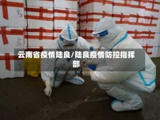 云南省疫情陆良/陆良疫情防控指挥部