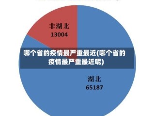 哪个省的疫情最严重最近(哪个省的疫情最严重最近呢)