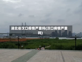 湖北省汉口疫情严重吗(汉口病情严重吗)
