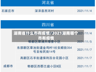湖南省什么市有疫情/2021湖南哪个市有疫情