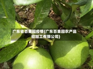 广东省百果园疫情(广东百果园农产品初加工有限公司)