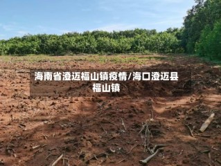 海南省澄迈福山镇疫情/海口澄迈县福山镇