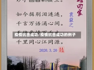 疫情抗击成功/疫情抗击成功的例子