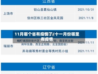 11月哪个省有疫情了/十一月份哪里有疫情