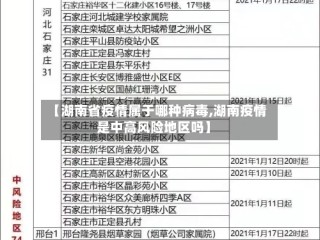 【湖南省疫情属于哪种病毒,湖南疫情是中高风险地区吗】