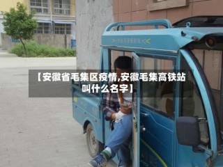 【安徽省毛集区疫情,安徽毛集高铁站叫什么名字】