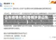 山东疫情处罚(疫情涉及山东)