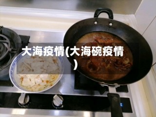 大海疫情(大海碗疫情)
