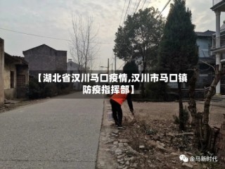 【湖北省汉川马口疫情,汉川市马口镇防疫指挥部】