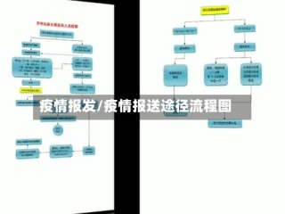 疫情报发/疫情报送途径流程图