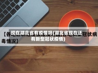 现在湖北省有疫情吗(湖北省现在还有新型冠状疫情)