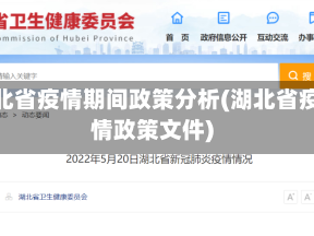 湖北省疫情期间政策分析(湖北省疫情政策文件)