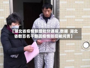 【湖北省疫情新增处分通报,数据  湖北省数百名干部因疫情防控被问责】