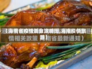 【海南省疫情美食攻略图,海南疫情旅游】