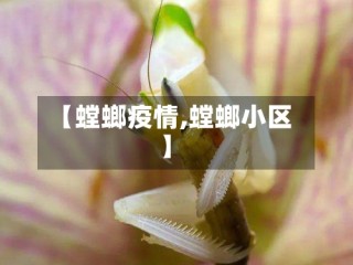 【螳螂疫情,螳螂小区】