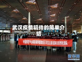 武汉疫情稿件的简单介绍